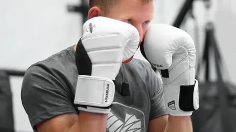 Boxing Glove Weights
